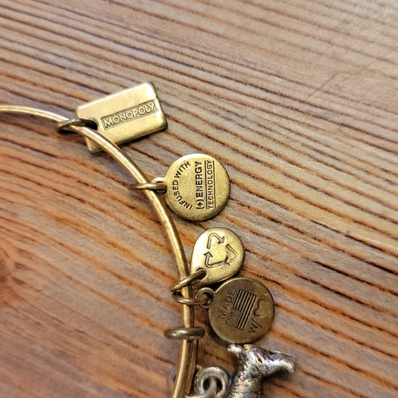 Alex and Ani Monopoly Bracelet - Picture 3 of 4